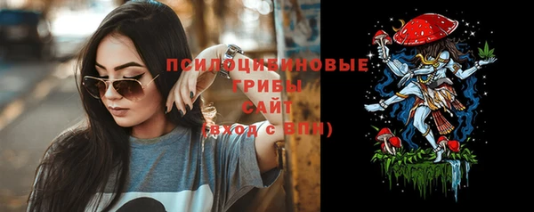 гидропоника Алзамай