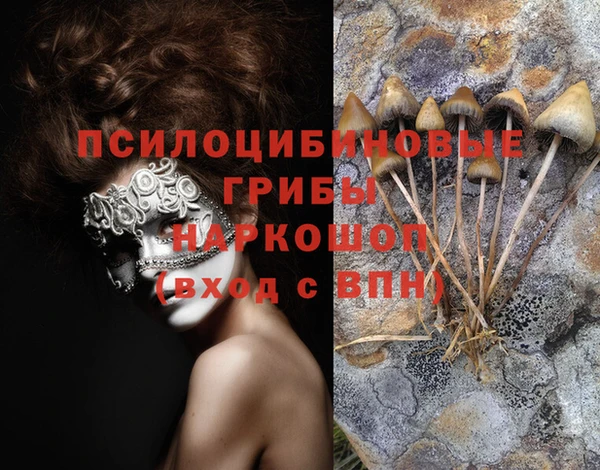 круглые Касимов